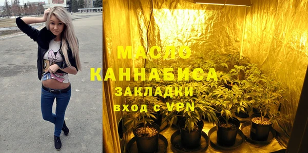 прущие грибы Гатчина