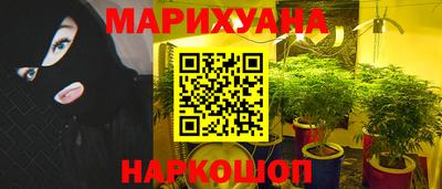 PSILOCYBIN Можга