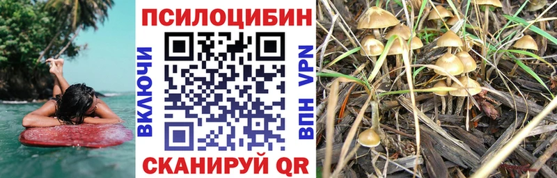 купить наркотик Новокубанск Галлюциногенные грибы мицелий