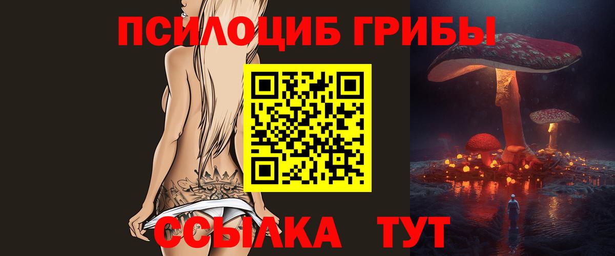 Новокубанск  Галлюциногенные грибы GOLDEN TEACHER  как найти закладки  Галлюциногенные грибы прущие грибы  Вход с VPN 